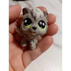 Hasbro LPS Littlest Pet Shop Wolf G7 #148 Gray Collectible Toys Star Eye 2024